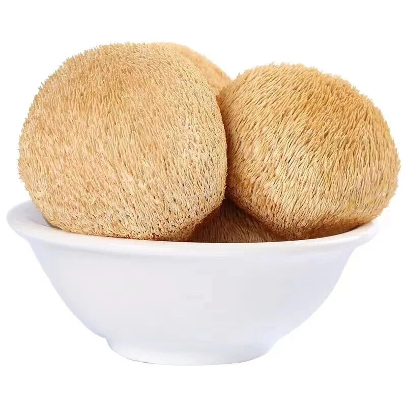 100% Biologische natürliche Löwen Mähne Pilz Hericium Erinaceus Hou Tou Gu 250G Secondary image
