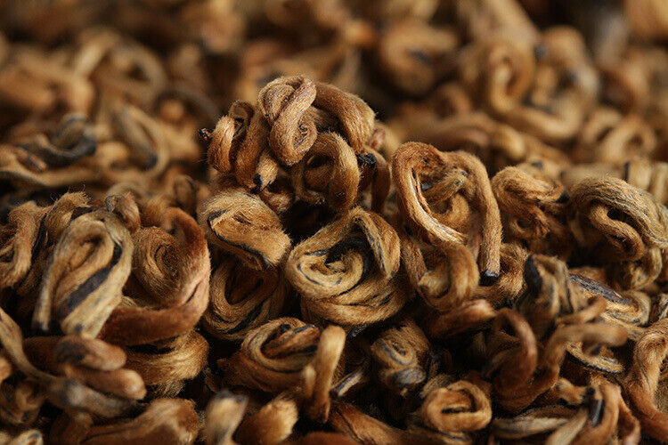 HelloYoung 500g Yunnan black tea Fengqing Dian Hong Jin Luo (No. 2) early spring tea