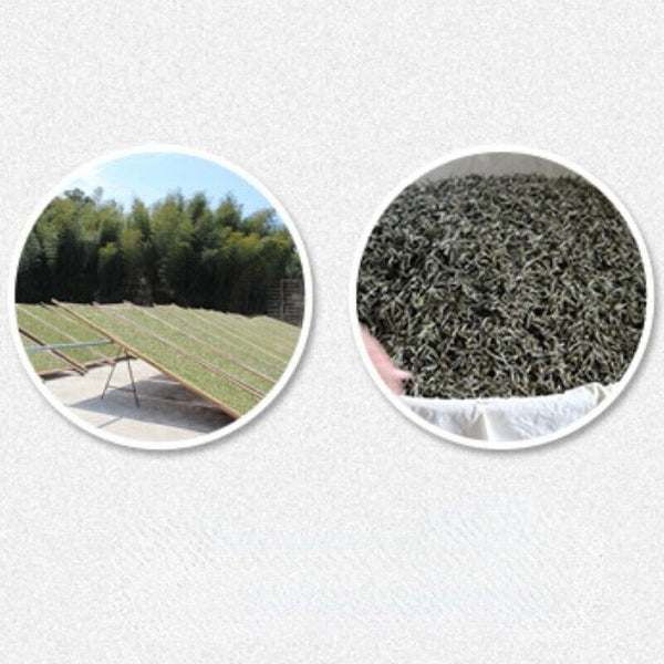 HelloYoung Old White Tea Weight Loss Healthy Drink 500g Fuding White Tea Loose Leaf