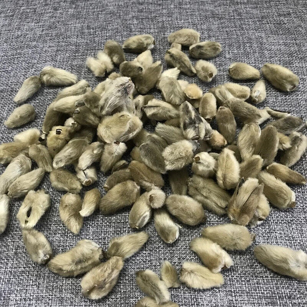 Xinyihua Natural Flavor Tea Dried Flos Magnoliae Flower Tea 250g