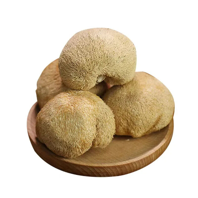 100% Organic Natural Lions Mane Mushroom 250g Hericium Erinaceus Hou Tou Gu 猴头菇
