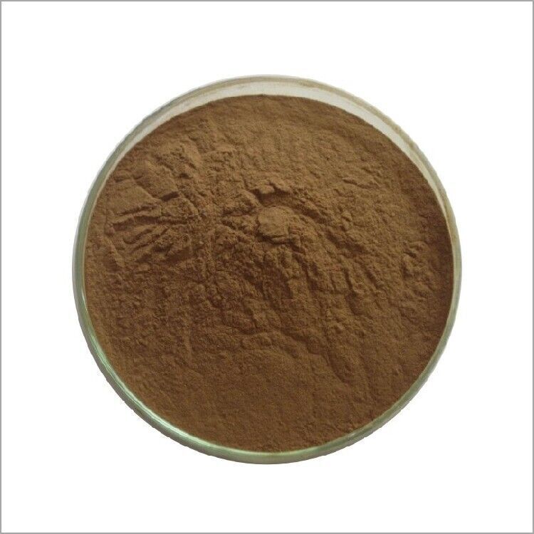 200gHigh quality Angelicae Sinensis Radix / Chinese Angelica Extract 20:1 Powder