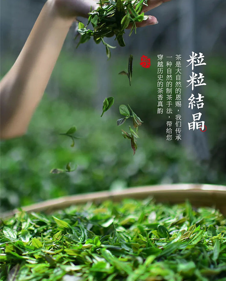Plum Turnip Ancient Tree Puerh Tea Cake Aged Old Tree Head Spring Tea 357g