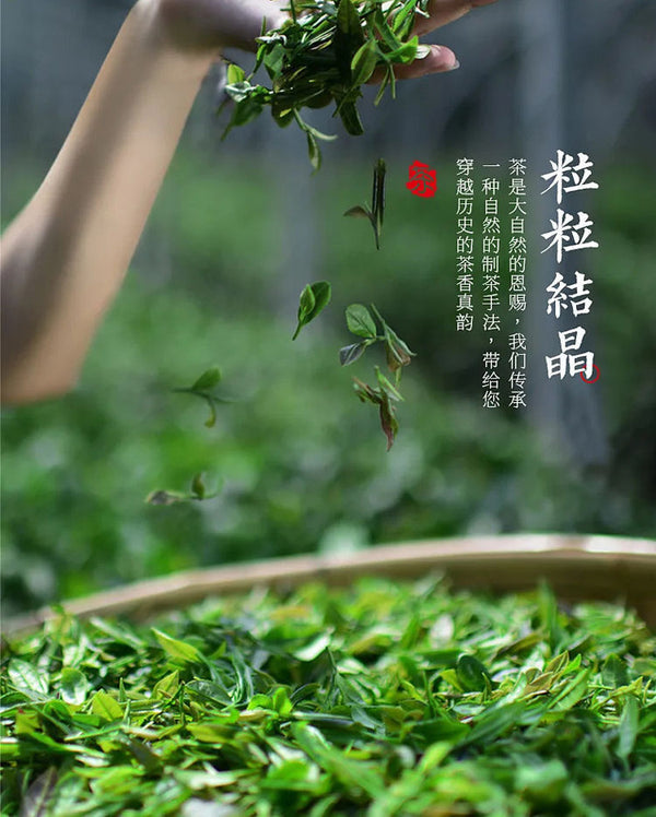 Plum Turnip Ancient Tree Puerh Tea Cake Aged Old Tree Head Spring Tea 357g