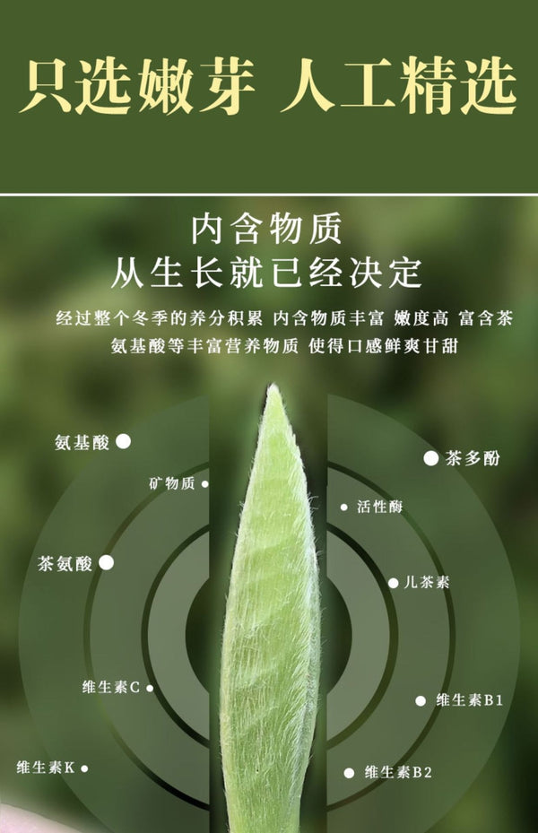 White Tea 50g/can First Spring Tea Loose White Tea Fuding Baihao Yinzhen Fuding