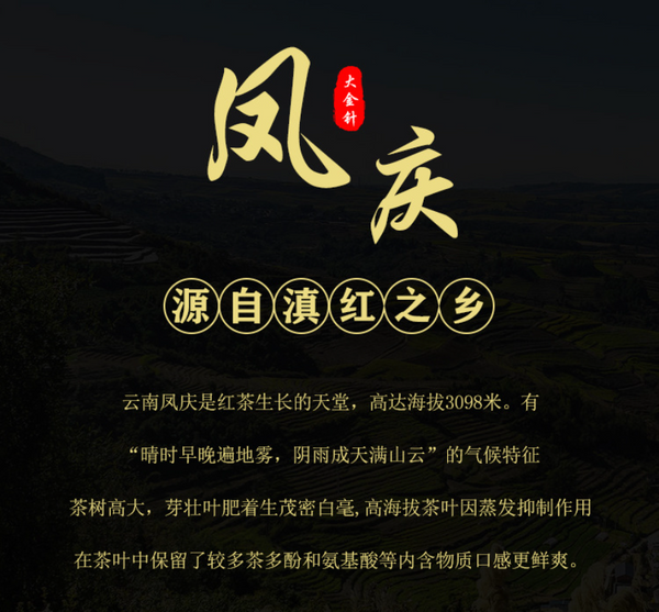 HelloYoung 250g Yunnan black tea big gold needle Yunnan Fengqing black tea big gold bud
