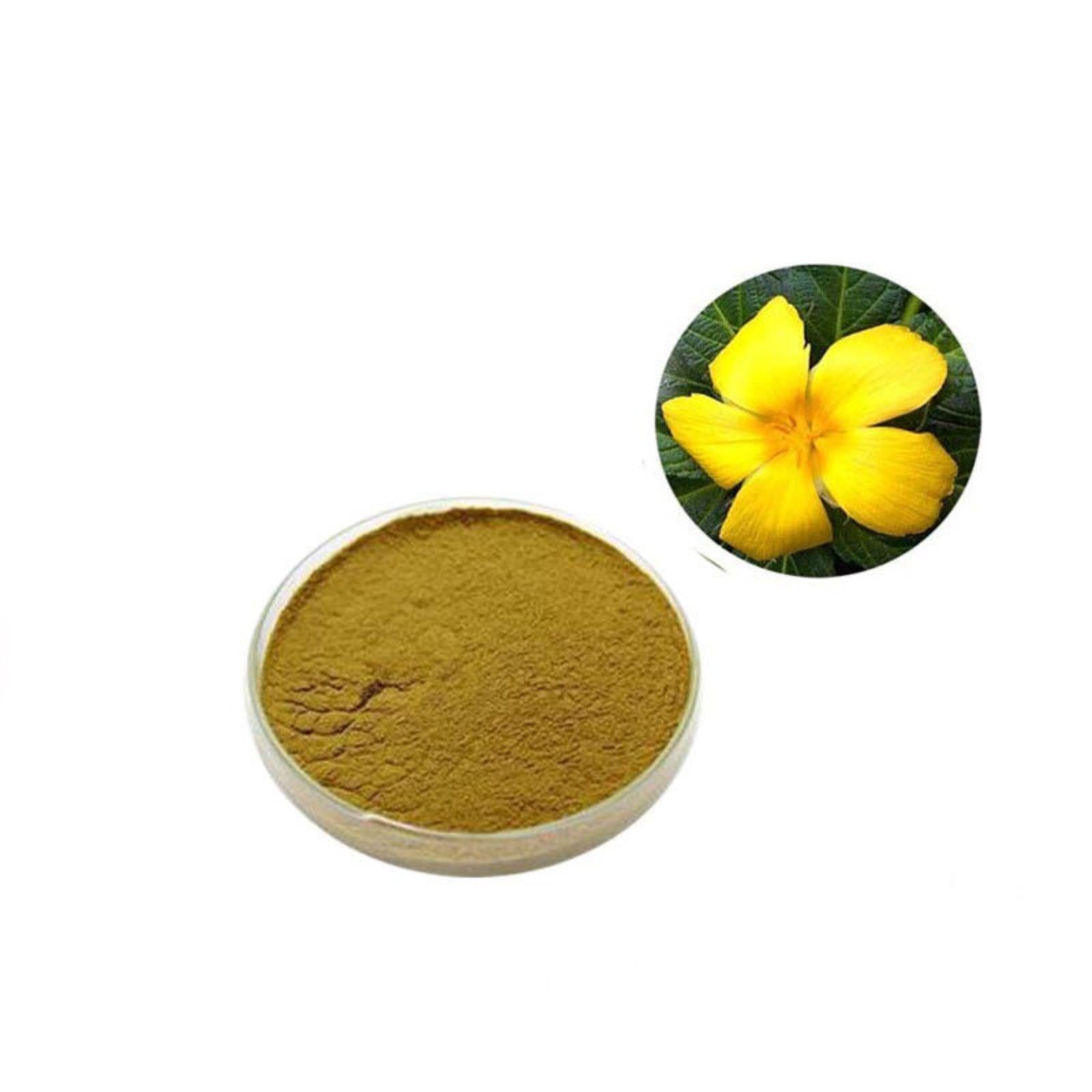 100g Damiana Extract 10:1 Powder - Turnera Diffusa Leaf | Pure & Natural Main image