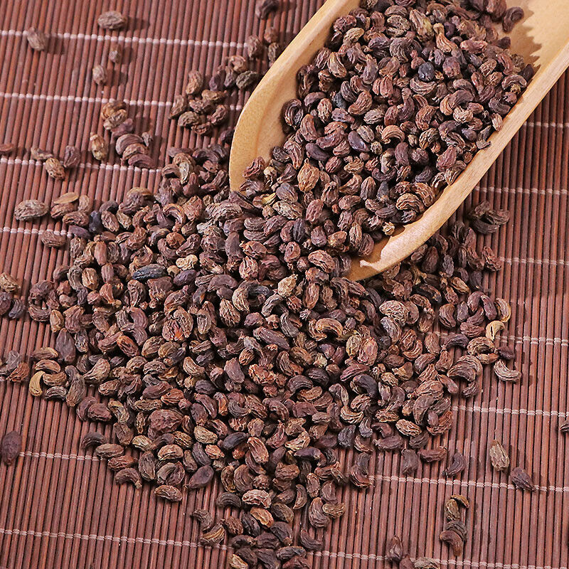High quality 100% Natural Ligustri lucidi Fructus Nv Zhen Zi 女貞子 Chinese Herb Secondary image