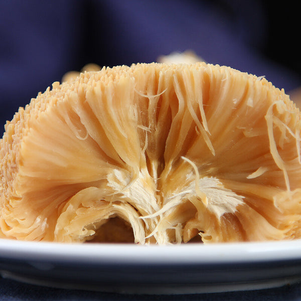 Yunnan Dried Lion's Mane (Monkey Head) Mushroom 100g Natural Hericium Erinaceus