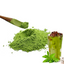 Matcha Tea Powder Ceremonial From Japan Pesticide Free Baking Slimming Coffee