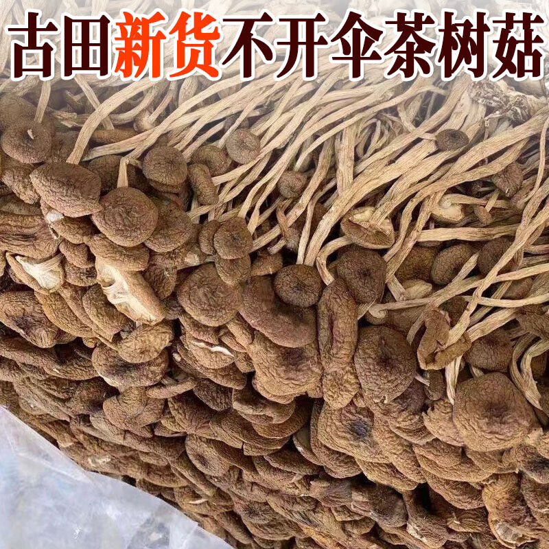 HelloYoung Chinese Herbal Agrocybe Cylindracea New Premium Dried Tree Mushroom 250g/bag