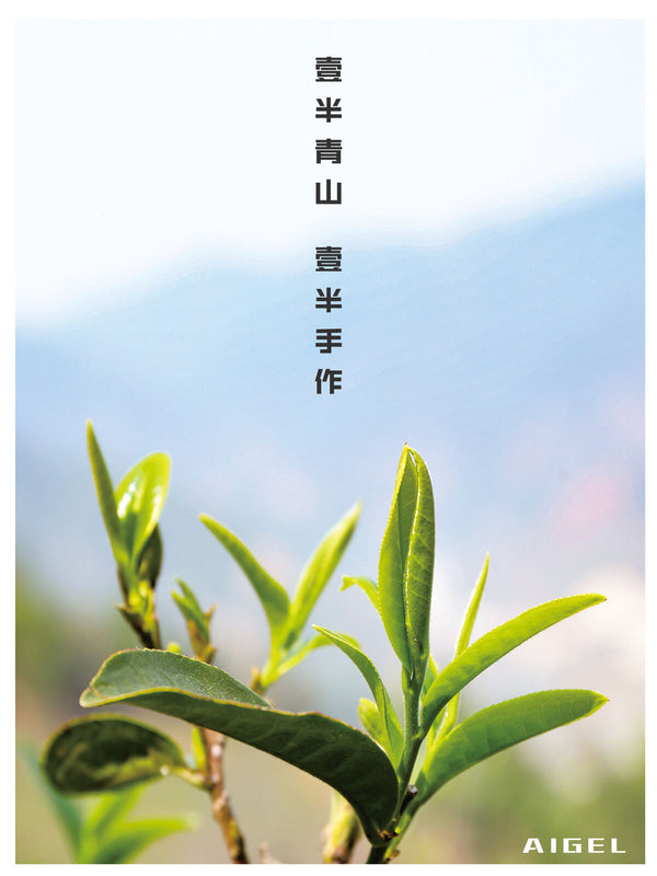 Premium Intensiver Weißer Pfirsich Oolong Tee OolongTee Zubereitung von Milchtee