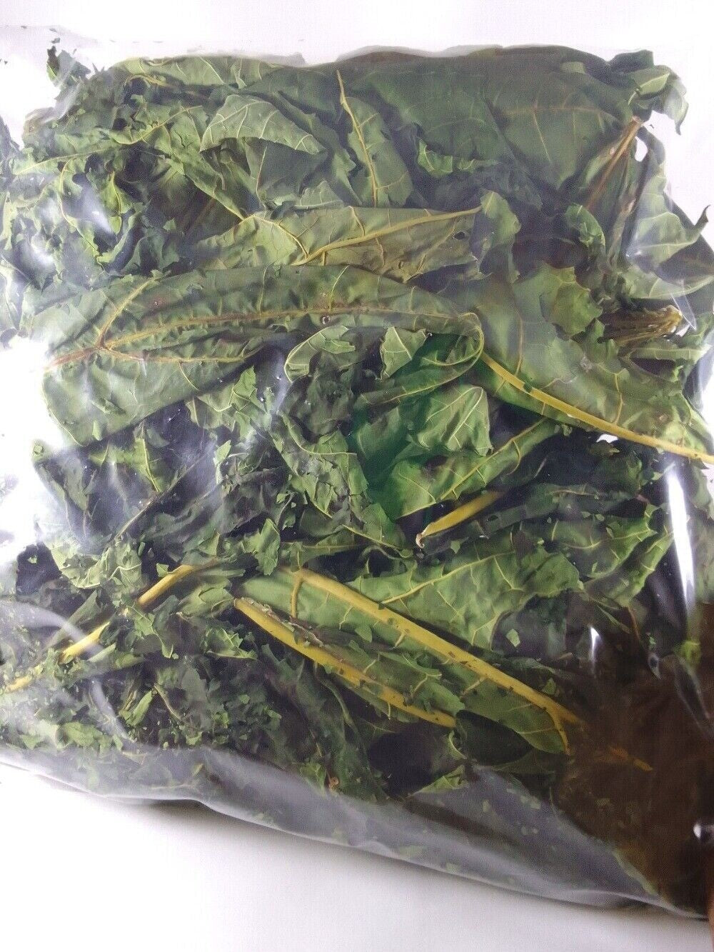 Papaya Leaf Tea Dried Whole Organic Pure Herbal Premium Loose Leaf Natural