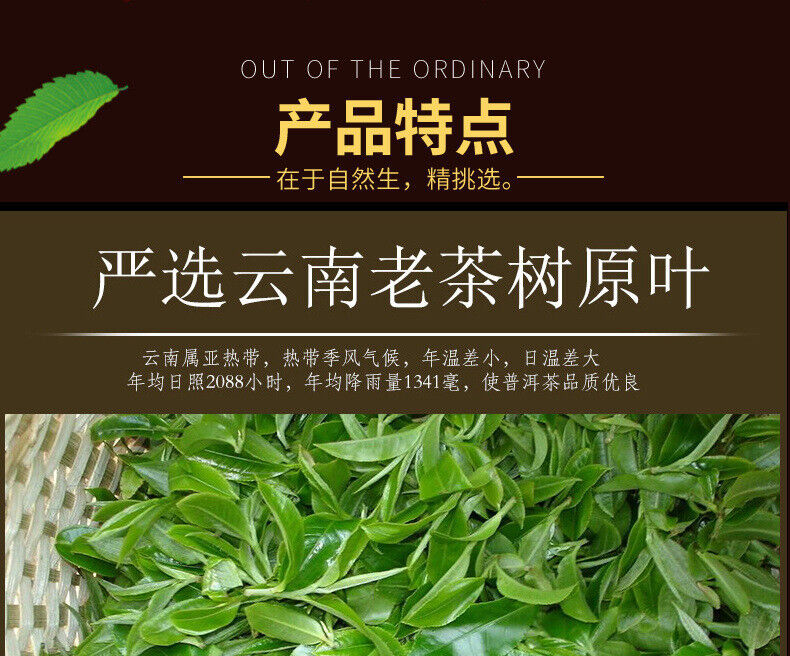 Menghai Aged Ripe Tea Black Tea Yunnan Pu-erh Tea Mini Golden Tuo Cake