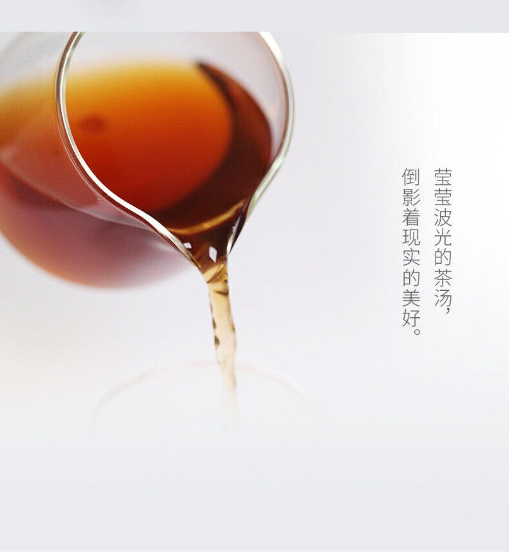 Daiyi Classic Puerh Tea Bags 1.6gx25 Premium Loose Leaf Convenient