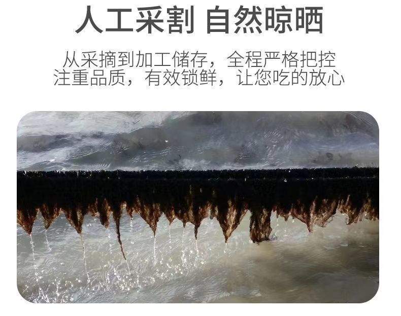 No-Sand Ready-to-Use for Soup Bulk Pack Dried Nori Seaweed First Harvest