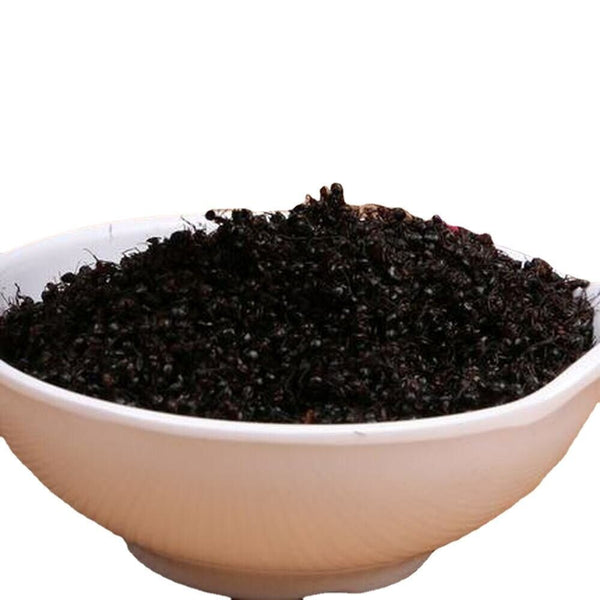500g WILD Chang Bai Shan Mountain Ant Vic Roger Polyrhachis Medizin