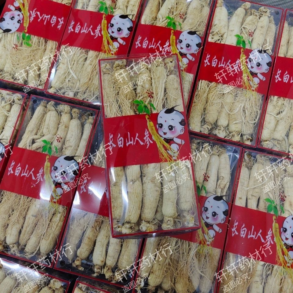 500g Mountain Premium Gift Box for Health Ginseng Whole Root from Changbai