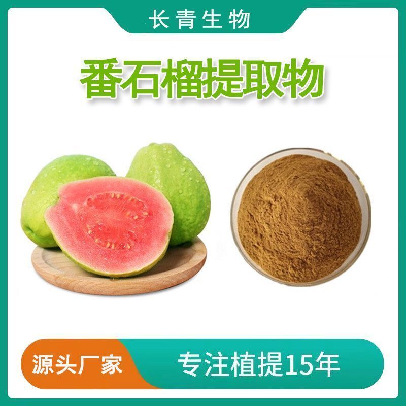 Guava Leaf Extract Powder 30:1 (Psidium Guajava) Water Soluble Plant Concentrate Main image