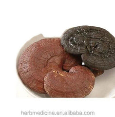 Bulk Supply Reishi Pilz Tee Vorteile im guten Preis Reishi Verkauf Online 500g