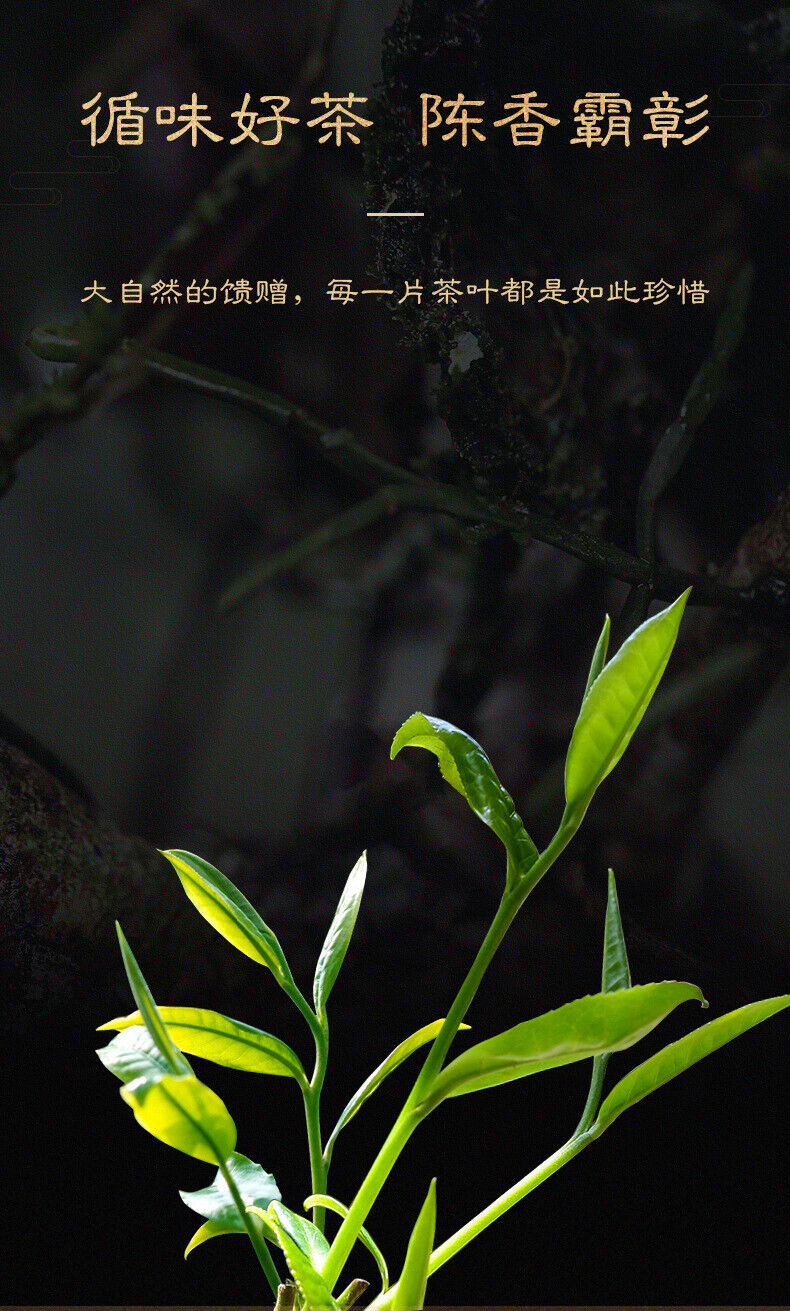 Yunnan Pu'er Tea Cake Pu'er Tea Ripe Tea Cake Ancient Tree Ripe Tea 357g