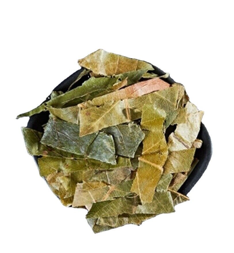 HelloYoung Medicinal Chinese Herb Loquat Leaf / Eriobotrya Japonica 100% Natural 250g/8.8oz