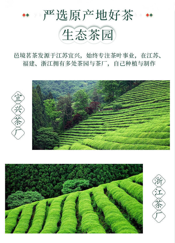 Green Tea Exquisite Gift Box Yuhua High Quality Tea Organic 96g
