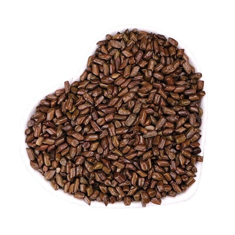 HelloYoung Cassia Seeds Fried Cassia Seeds Tea Infusion Cassia Seed
