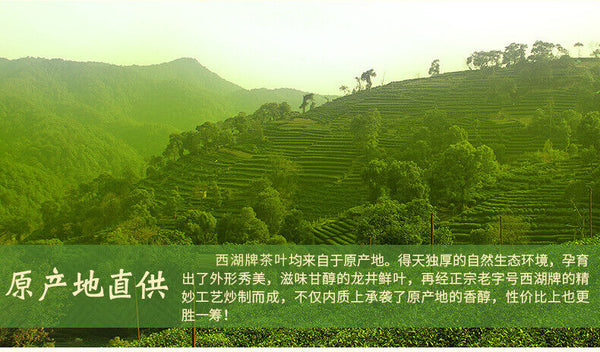 West Lake Brand Green Tea Yuqian Grade III Longjing Tea 100g/Jar New Tea