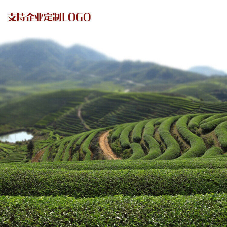 HelloYoung New Tea Tieguanyin Tea Strong Fragrance Anxi High Mountain Origin 250g