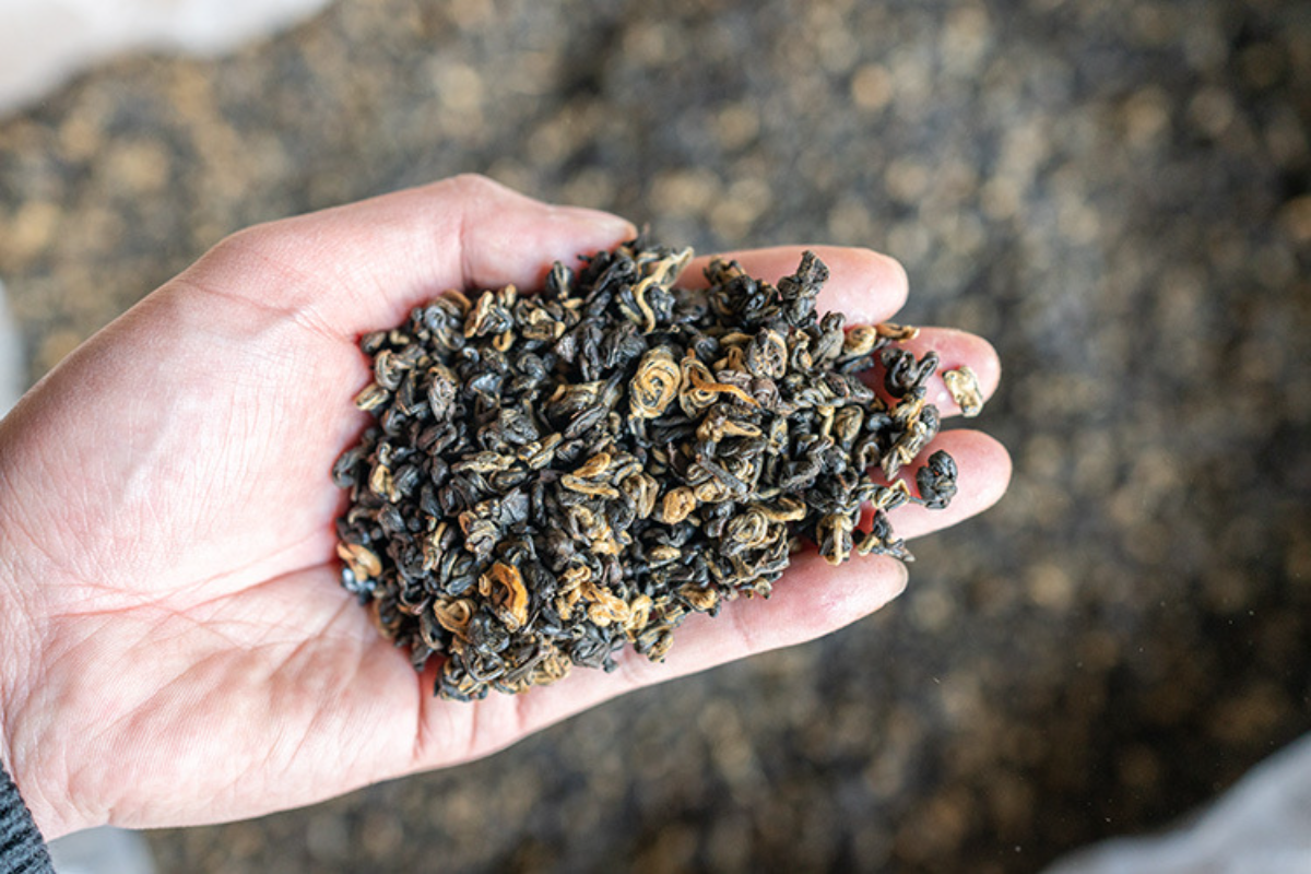 HelloYoung 500g Yunnan Ancient Black Tea Golden Silk Golden Snail Fengqing Dian Hong Tea