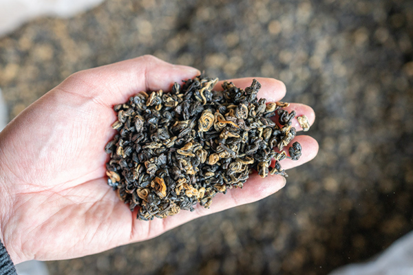 HelloYoung 500g Yunnan Ancient Black Tea Golden Silk Golden Snail Fengqing Dian Hong Tea