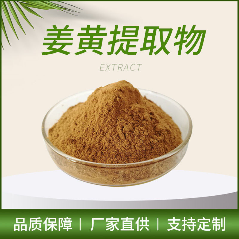 Turmeric Root 20:1 Extract Powder Curcuma Longa Curcuminoids Rich Herbal Tea Secondary image