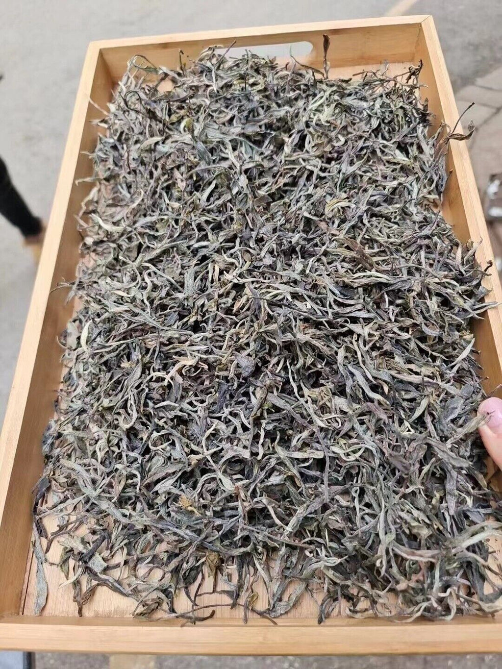 HelloYoung Yunnan Tea Nannuo Mountain Pema Ancient Tree First Spring Pu'er Raw Tea 100g