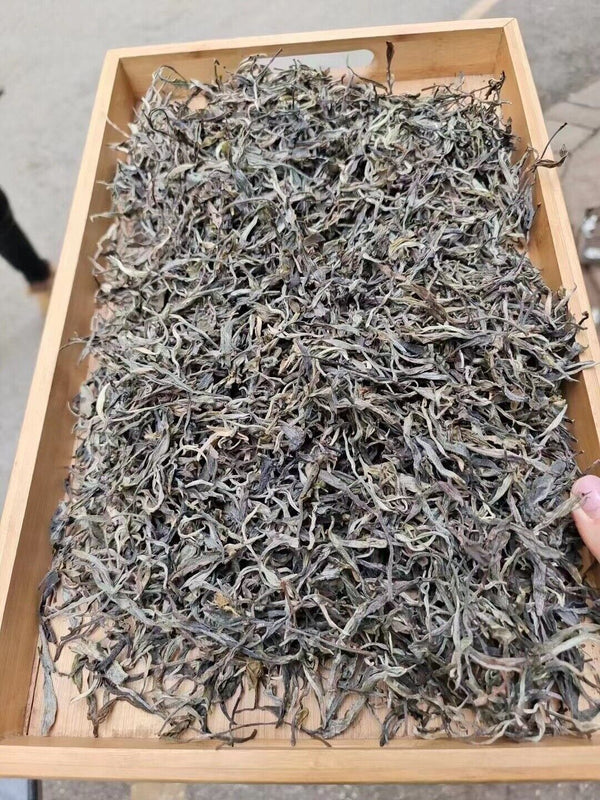 HelloYoung Yunnan Tea Nannuo Mountain Pema Ancient Tree First Spring Pu'er Raw Tea 100g