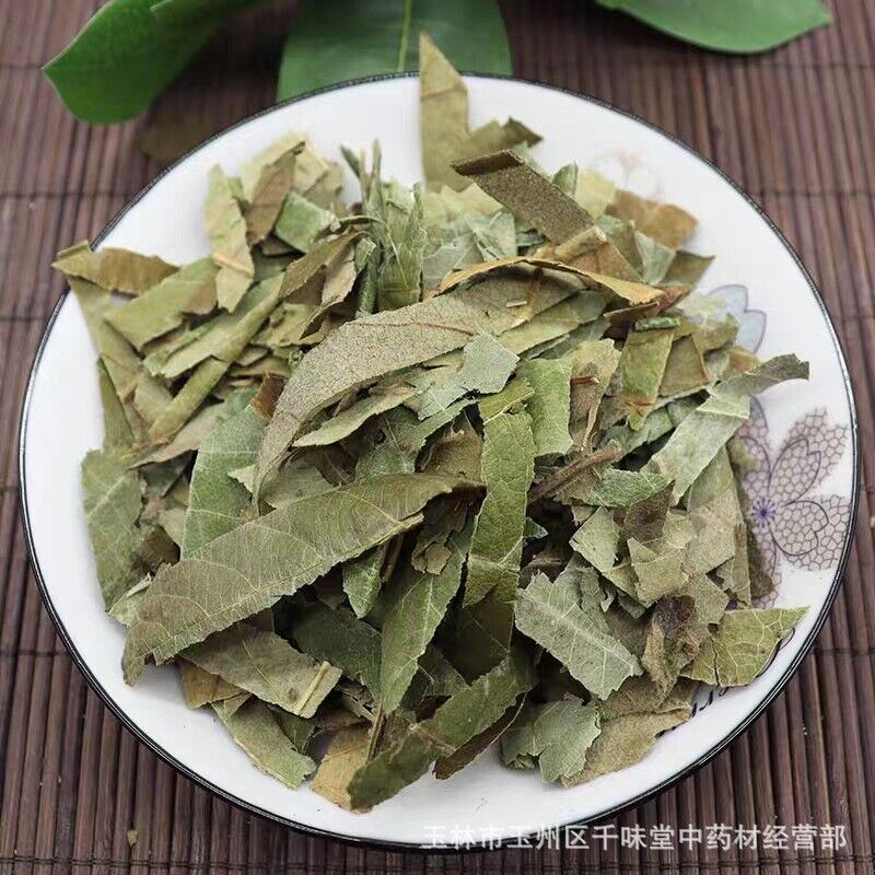 Fresh Oquat Leaf Chinese Herbal Guangxi Wild Loquat Leaf Dried Loquat Leaf Tea