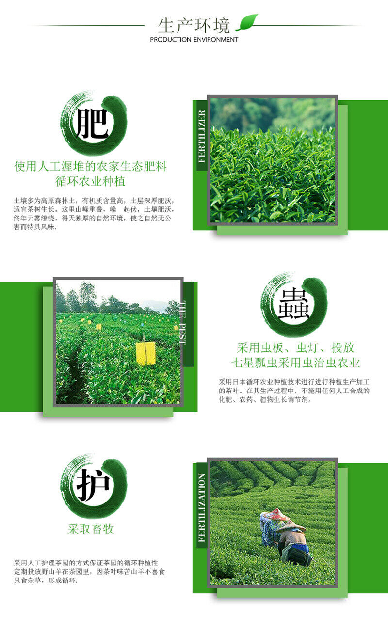 HelloYoung Taiwan Alpine Tea Gold Day Tea Honey Aroma Oolong Tea Clear Aroma 100g Tin Cans