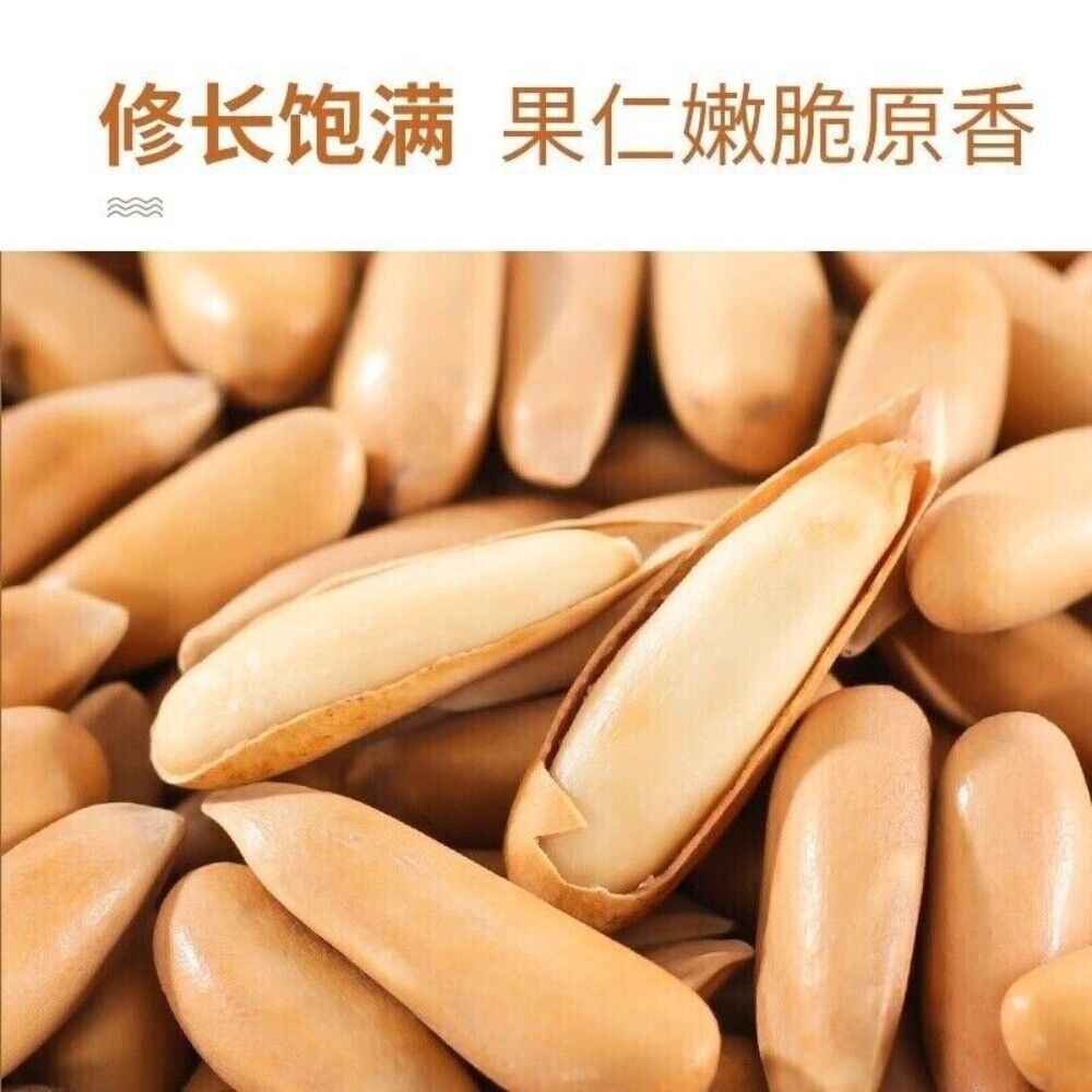 2024 Harvest Premium Pine Nuts Jumbo Size Healthy Natural Handpicked Snack Main image