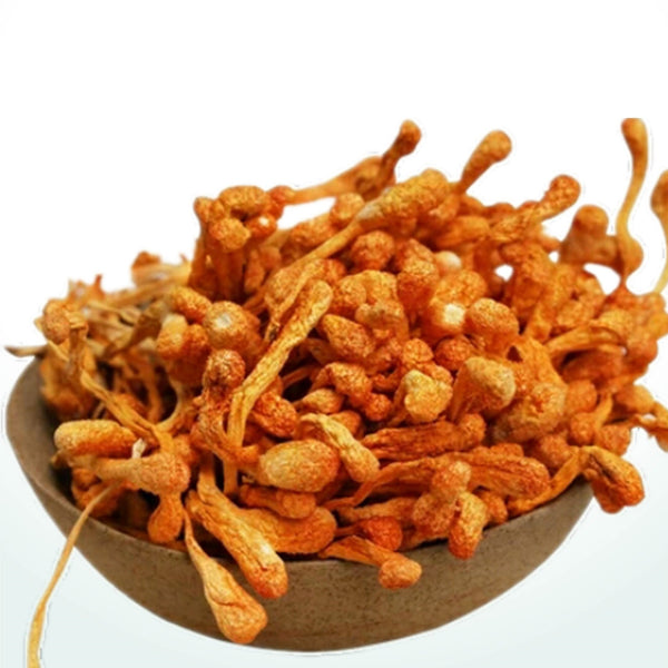 250g Plateau Cordyceps Flower Dry Goods Selected Natural Cordyceps Flower