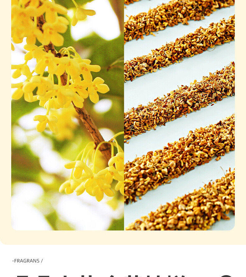 25g Blütentee Osmanthus Tee getrockneter Osmanthus Spezialität Dosen Blumen Tee
