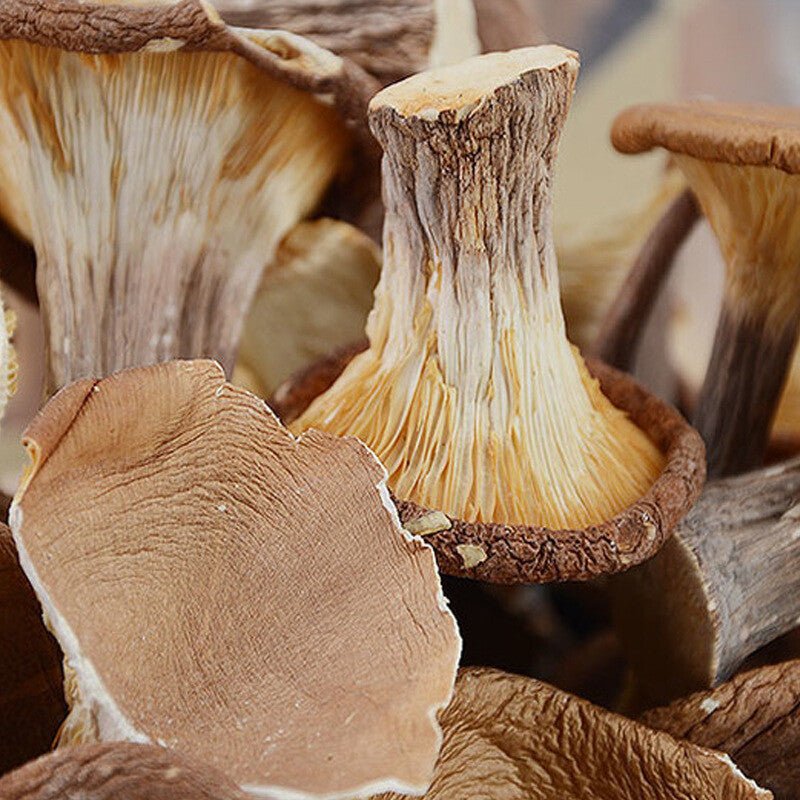 Wild Mountain Delicacies: Dried Mushrooms, Pig Stomach Fungus, Shiitake for Soup