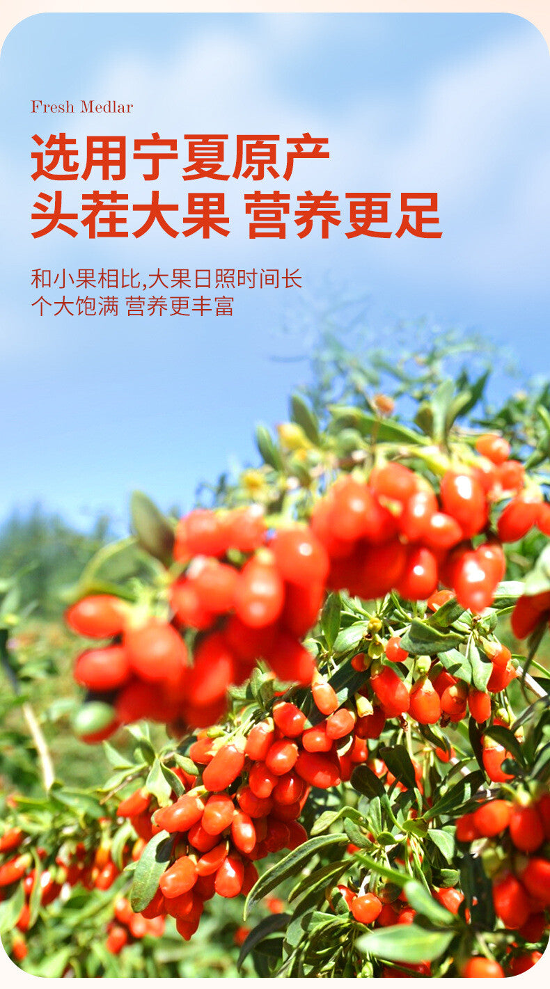Ningxia Goji Berry Puree Sea Buckthorn Black Goji Mulberry Blueberry Juice
