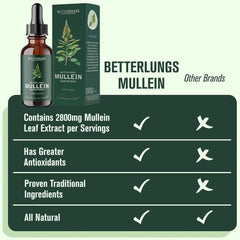 Support a Healthy Lung All-Natural Mullein Leaf Extract Drops for Lung Cleanse