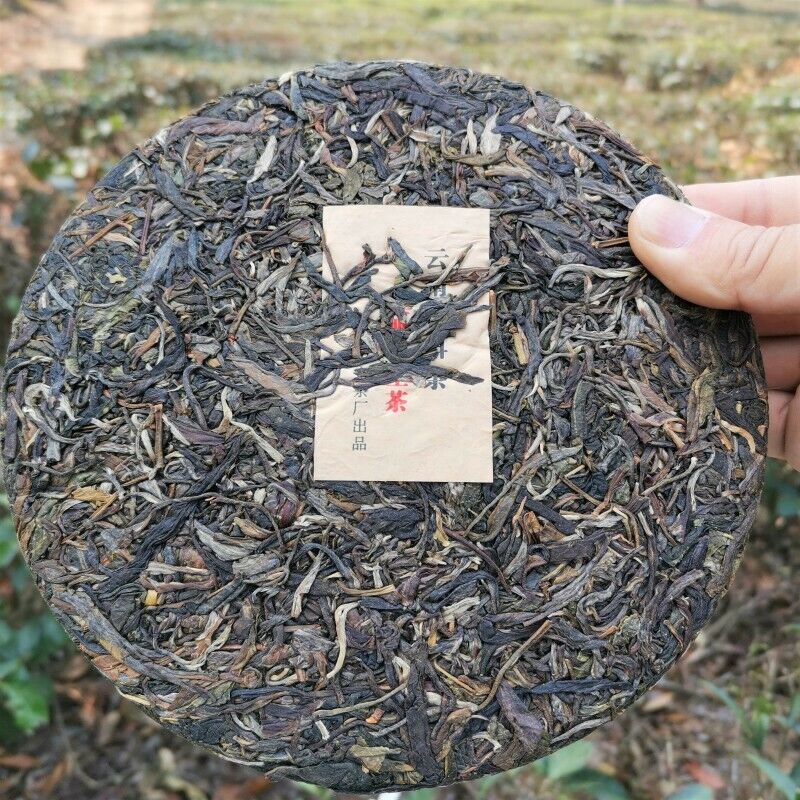 HelloYoung Early Spring Arbor Tea Classical Healthy Drink Authentic Yiwu Pu'er Tea 357g Main image