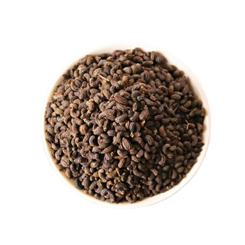 HelloYoung 100% Natural Ligustri lucidi Fructus Nv Zhen Zi 陳子 Chinese Herbal medicine Main image