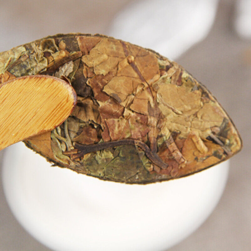 HelloYoung Organic Golden Leaf Sun Sun White Tea Yunnan Alpine Ancient Tree White Tea 500g