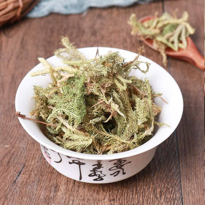 Organic Herbal Common Clubmoss Herb Herbal Lycopodii Great Quality Main image