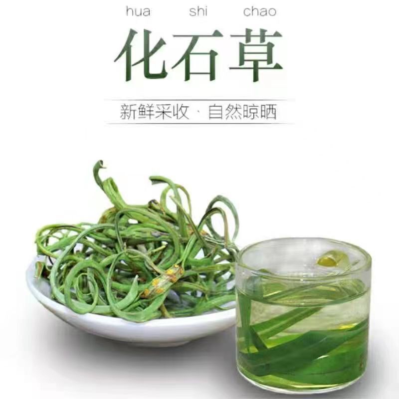 Orthosiphon Aristatus Golden Grass Tea - Kidney Essence Grass, 50g Canned