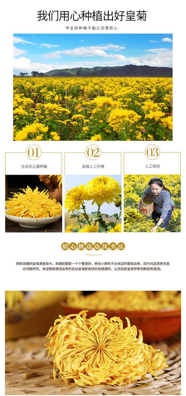 HelloYoung Chrysanthemum Tea Golden Silk Chrysanthemum Fetal Xiushui Tribute Chrysanthemum