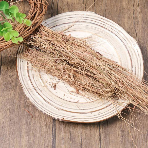 Pure Natural Herbal Rough Melic Herb Pogonatherum Crinitum Great Quality